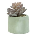 thumbnail image 1 of Planta Artificial con Maceta Mainstays 10 cm Mini Suculenta, 1 of 4