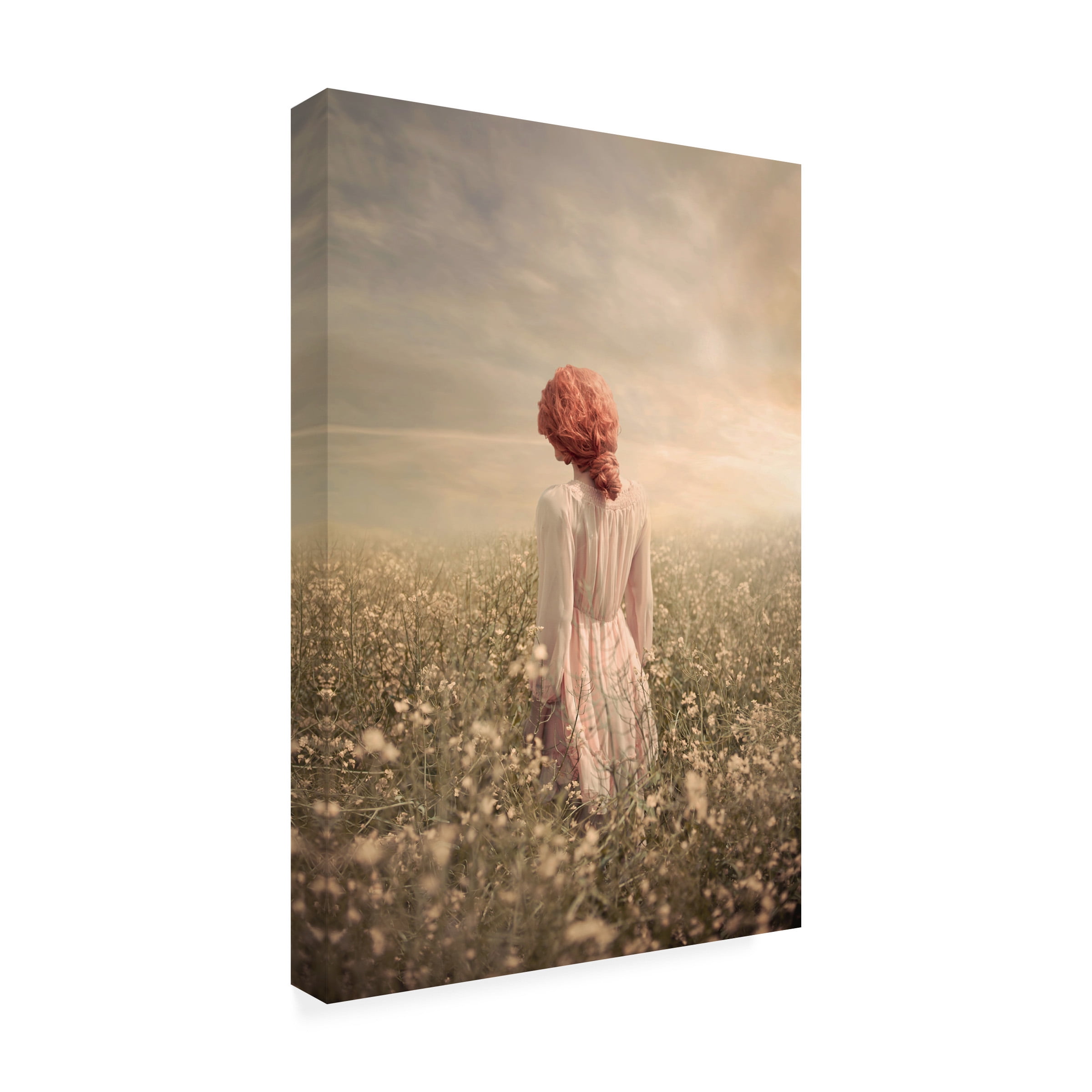 Ildiko Neer 'Field in Pastel' Canvas Art