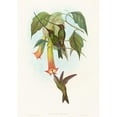 thumbnail image 2 of John Gould 18x24 Black Ornate Framed Double Matted Museum Art Print Titled: Docimastes Ensiferus (Sword-Billed Hummingbird), 2 of 5