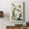 thumbnail image 5 of Antique Birds in Nature I Premium Gallery Wrapped Canvas - Ready to Hang, 5 of 9