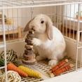 thumbnail image 2 of Rabbit Chew Toys for Teeth Grinding – Wooden Small Animal Chew Set for Rabbits, Hamsters, Chinchillas and Guinea Pigs – Boredom Relief and Cage Destruction, 2 of 7