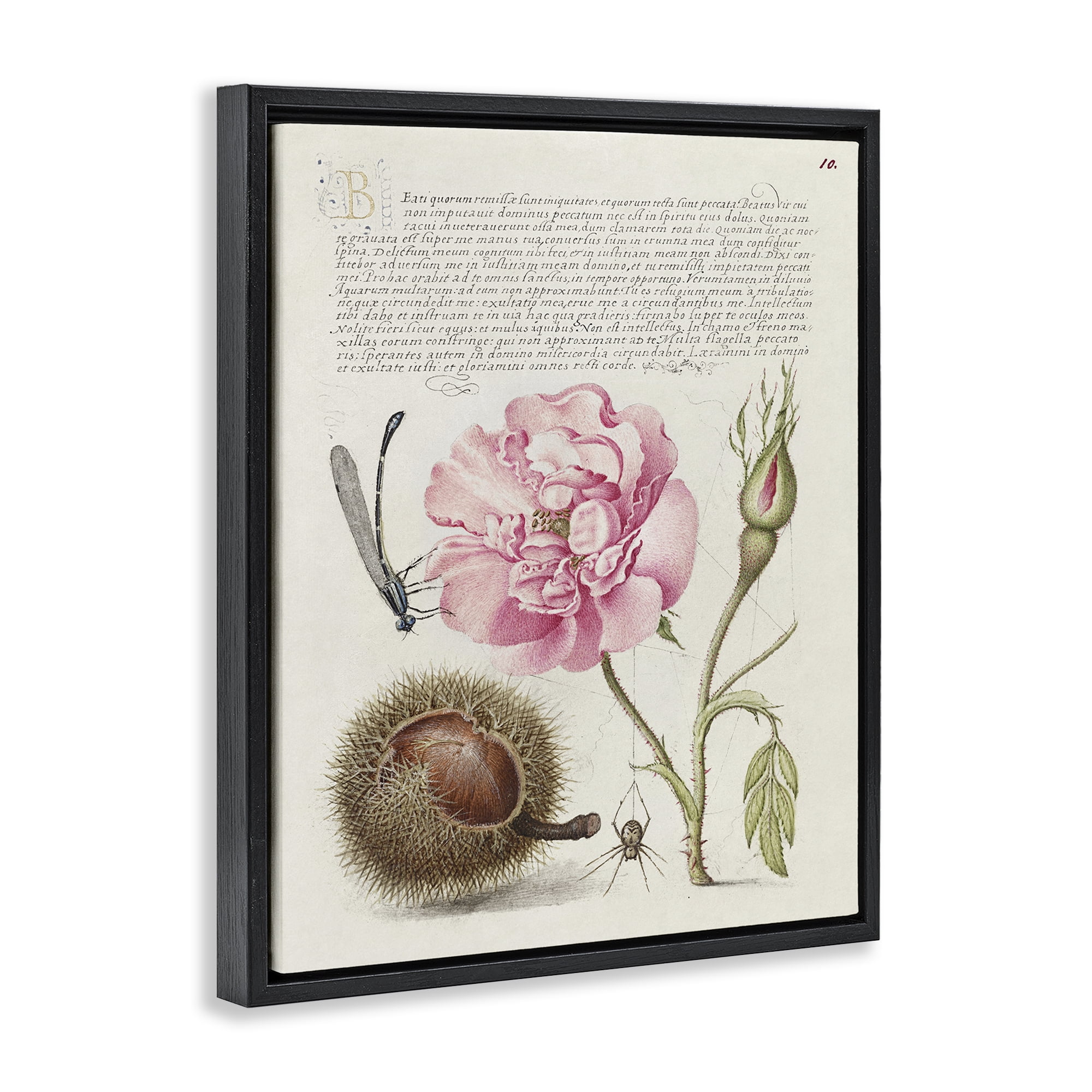 Stupell Industries Antique Study Page Text & Numbers Painting Black Floater Framed Canvas Art Print Wall Art, 17 x 21