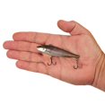 thumbnail image 4 of Berkley Ripfish, 9, Ghost Shiner, 4 of 5