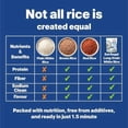 thumbnail image 4 of Eat Regal Ready-to-Eat Rice Variety Bundle – Cilantro & Lime Rice + Long Grain White Rice | Fully Cooked Microwave Rice in 1.5 Minutes | Non-GMO, Gluten-Free, BPA-Free Pouches | 8.8 oz (Pack of 12), 4 of 5