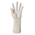 thumbnail image 2 of Maniquí de Mano Gloria para Hombre Soporte de Joyeria, 2 of 8