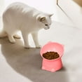 thumbnail image 5 of B Elevated Pet Bowl For Cats With Slanted Design For Digestive Health And Durability, 5 of 6