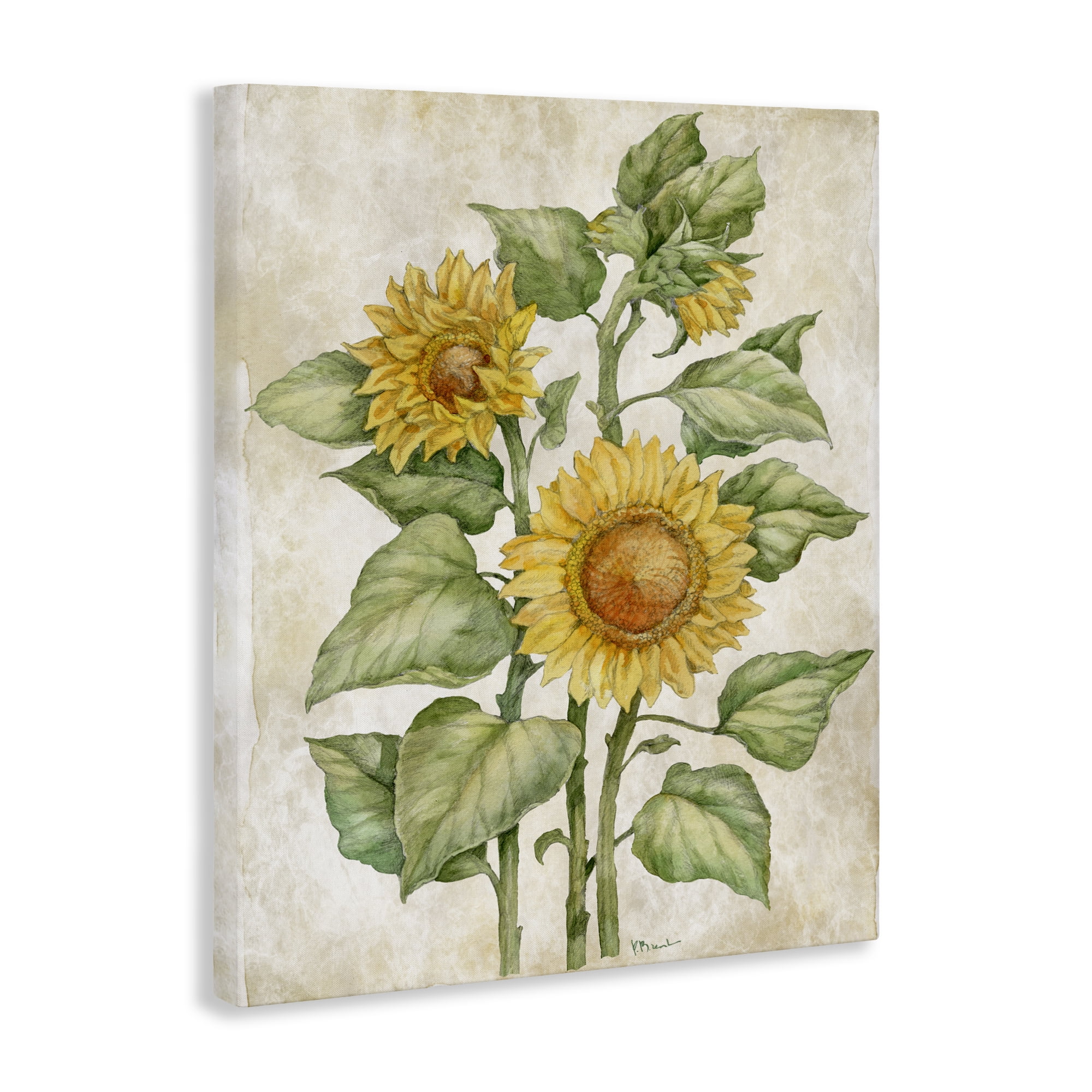 Stupell Industries Floral Journal Sunflower Canvas Wall Art, design by Paul Brent