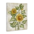 thumbnail image 2 of Stupell Industries Cottage Floral Journal Sunflower Canvas Art, 30 x 40, by Paul Brent, 2 of 8