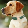 thumbnail image 3 of Pet Collars Leather Dog Collar with Engraved Metal Buckle Custom Padded Reflective Options for Small Medium Large Breed Dogs, 3 of 3