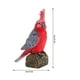 thumbnail image 3 of Fiudx juguetes Figuras de juguetes de loros para decorar el hogar, educación preescolar, 3 of 3