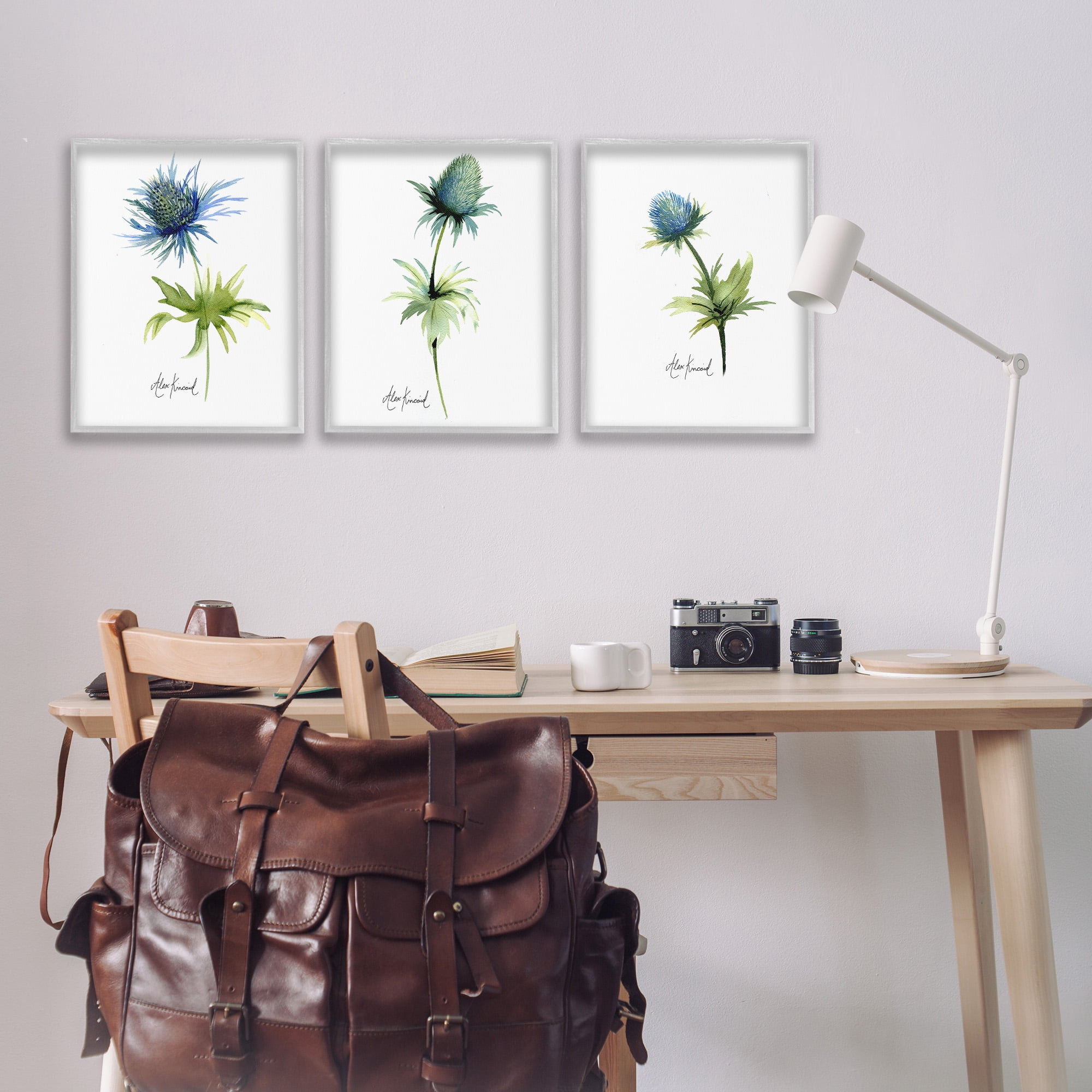 Stupell Industries Thistle Watercolors on White Botanical & Floral Painting Gray Framed Art Print Wall Art, 16 x 20, Set of 3