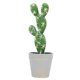 thumbnail image 1 of IFANLANDOR Bonsái Artificial Simulación Planta Decorativa Para Hogar Y Oficina Color Variado, 1 of 6