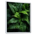 thumbnail image 2 of Designart "Ferns Plant Monochrome Euphony I" Floral & Botanical Floater Framed Canvas Print, 2 of 7
