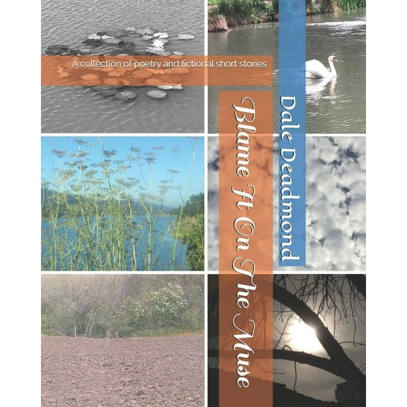 Blame It On The Muse : collection of poetry and stories (Paperback)