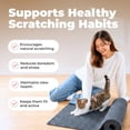 thumbnail image 3 of SHAANXIXIAN Catify Cat Scratcher, Fun Interactive Scratchers, Posts, Poles, Claw Safe, Furniture Saver Indoor Play Support Natural Cat Behaviors Heavy Duty - Gray Mat - L: 39", 3 of 5