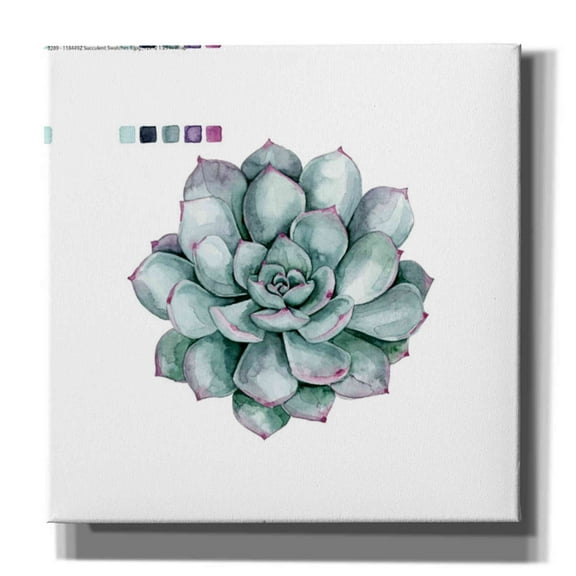 Epic Graffiti 'Succulent II' by Grace Popp Canvas Wall Art, 26"x26"