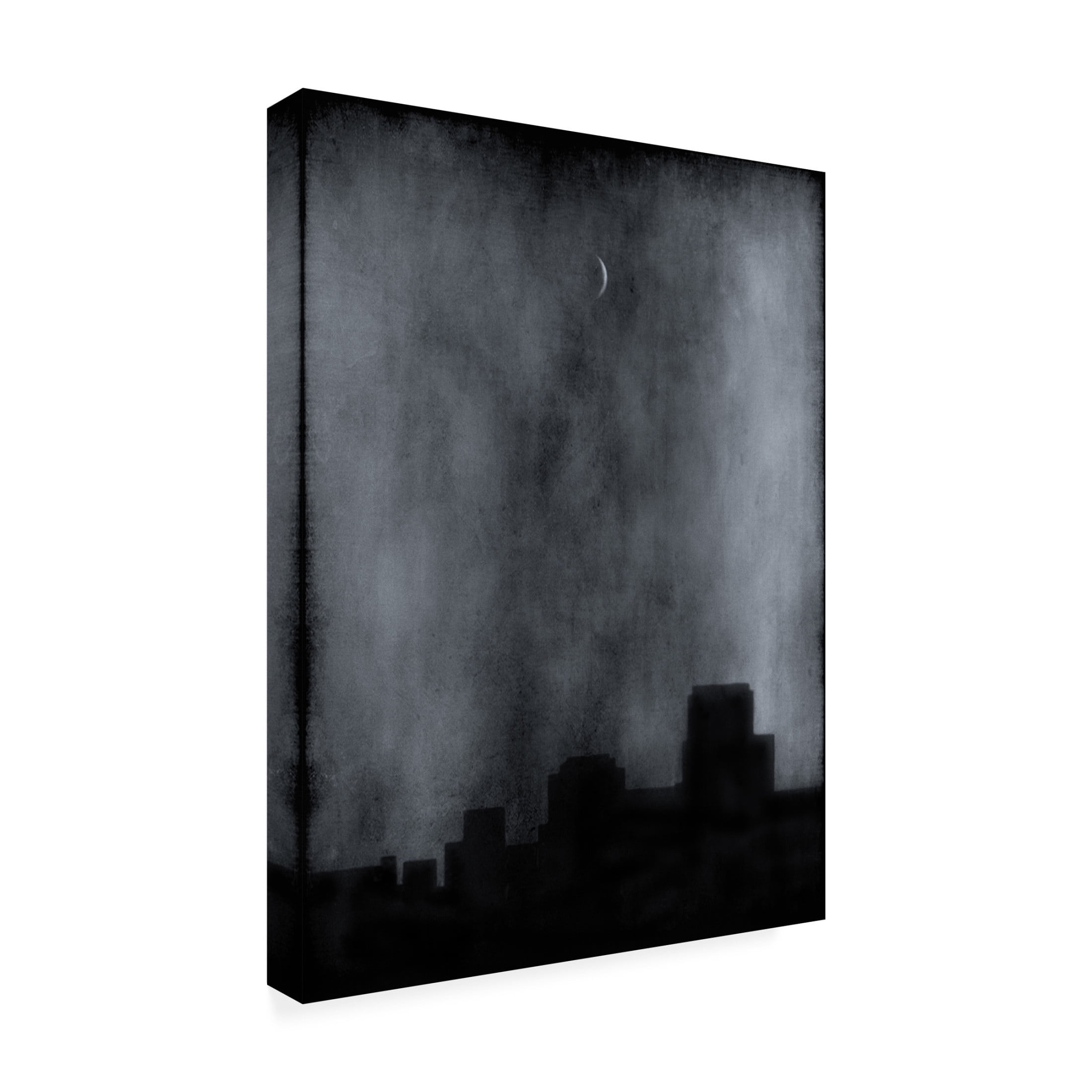 Canvas Wall Art - Jeffrey Hummel 'Sliver' Wall Art for Living Room, Bedroom, or Office Décor by Trademark Fine Art - 24 x 32 Inches