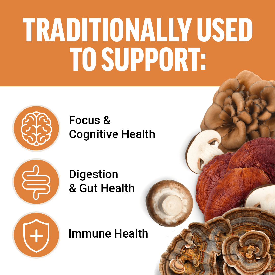 (3 pack) Force Factor Modern Mushrooms, Mushroom Supplement with Lion’s Mane, Cordyceps & Reishi for Energy, Focus, Immune Health & Digestion, 90 Capsules