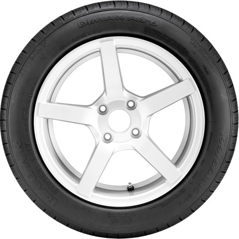 Radar Dimax AS-6 All Season 205/65R15 99V XL Passenger Tire simolary.com 19 Radar Dimax AS-6 All Season 205/65R15 99V XL Passenger Tire Simolary simolary.com 19