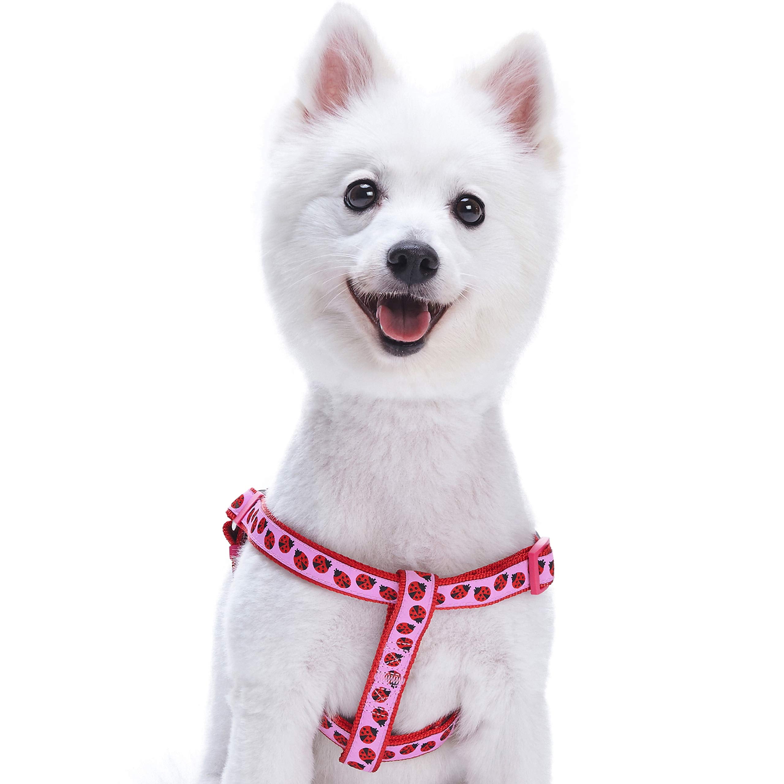 Ladybug Step-in Leather Dog Harness