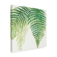 thumbnail image 2 of Trademark Fine Art 'Ferns III Square' Canvas Art by Chris Paschke, 2 of 3