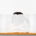 thumbnail image 4 of landege Plastic Sneeze Guard Shield Divider Screen Panel for Desktop Countertop Students Sneeze Guard, 4 of 10