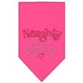 thumbnail image 3 of Naughty But In A Nice Way Rhinestone Bandana Bright Pink Large, 3 of 3