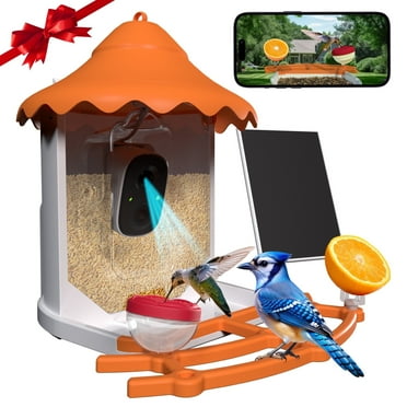 Birds View Bird Feeder with Camera, Outdoor Smart Bird Watching Camera with Solar Panel, AI Identify 11000  Species, Ideal Gift
