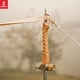 thumbnail image 4 of Martillo Para Acampar SUNDICK Camp Canopy Pegs Extractor Mango de haya para montañismo Senderismo, 4 of 6