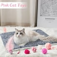 thumbnail image 6 of 10 Pcs Cat Toy Set, Interactive Kitten Toys for Indoor, Teaser Wand Springs Mice Crinkle Balls Bell Balls, Pink, 6 of 6