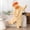 Yellow, variant on Big Mouth Monster Onesie Silly Monster Onesie Plush Onesie Pajamas Cozy Home Loungewear with Comb and Shoes, 6 Colors, S-XL