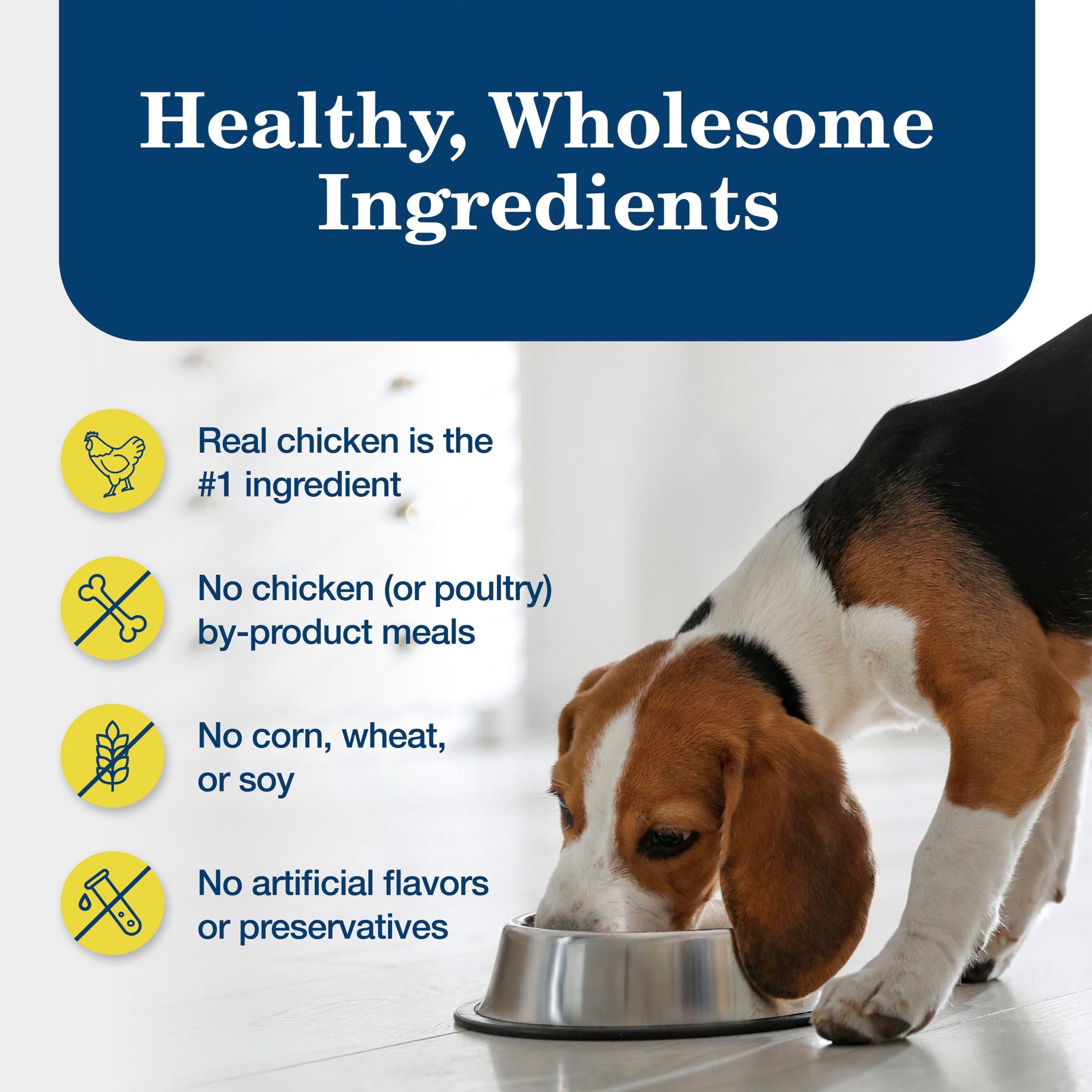 Blue Buffalo Homestyle Recipe Healthy Weight Adult Wet Dog Food, Chicken, 12.5oz. Can