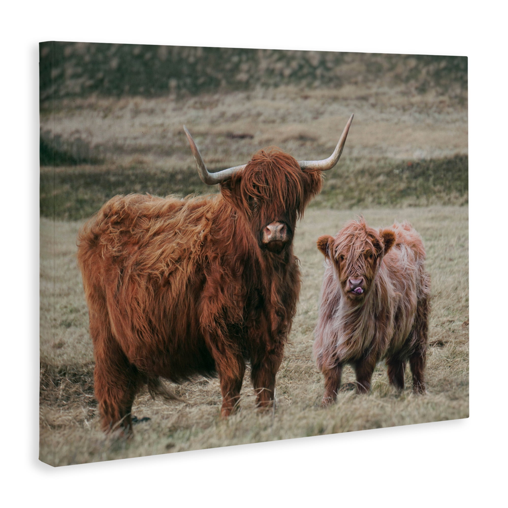 Mom & Baby Cow Canvas Wall Art, design by Lettered and Lined