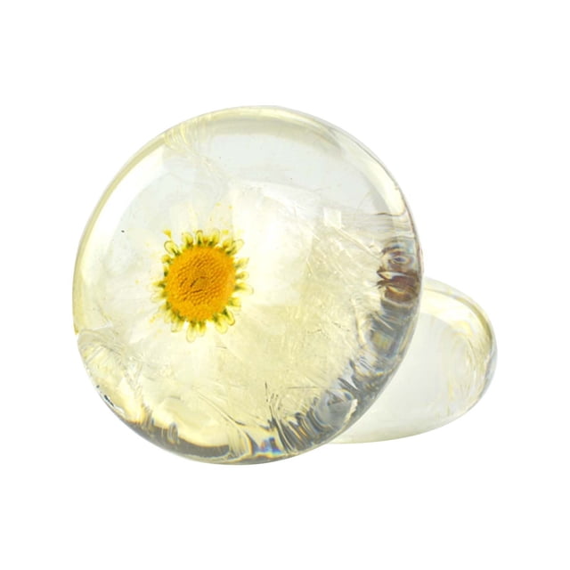 Fiudx Jabón de Aceite de Aminoácidos, Jabón Transparente, Jabón de Hierbas, Jabón de Manos Creativo, Jabón Limpiador Facial, Jabón de Baño, Jabón Creativo de Flores 80 G