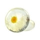 thumbnail image 1 of Fiudx Jabón de Aceite de Aminoácidos, Jabón Transparente, Jabón de Hierbas, Jabón de Manos Creativo, Jabón Limpiador Facial, Jabón de Baño, Jabón Creativo de Flores 80 G, 1 of 2