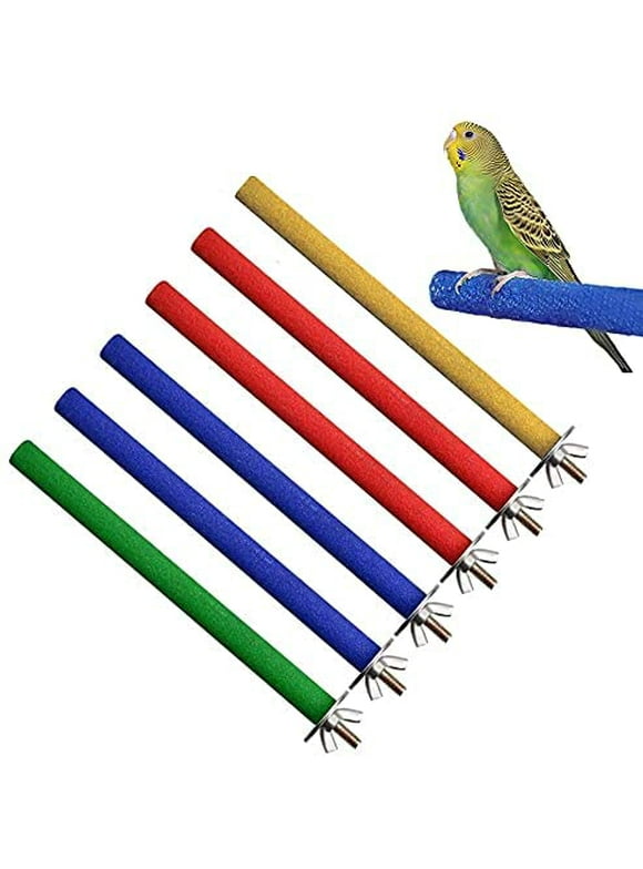 Bird Perches in Birds