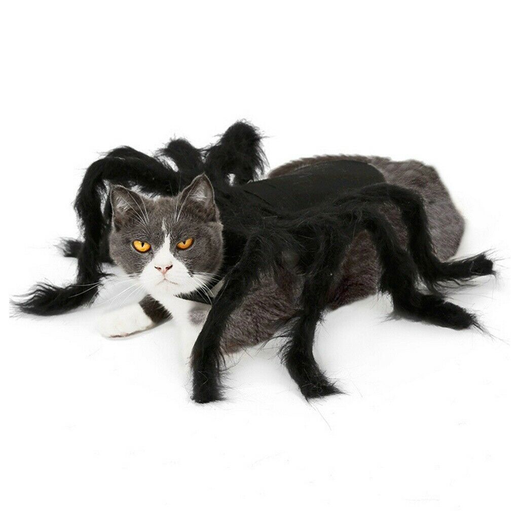 Black Spider Costume Cat Dog Puppy Pet Halloween Clothes Outfit Spider