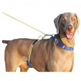 thumbnail image 1 of PAWS Aboard 3502 Monster Walker Blue/Yellow Large, 1 of 1