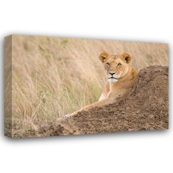 Susann Parker 32x23 Gallery Wrapped Canvas Wall Art Titled - Vantage Point