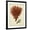 Black Frame, variant on Art.com Antique Red Coral V Art Print by Vision Studio, 12" x 16"