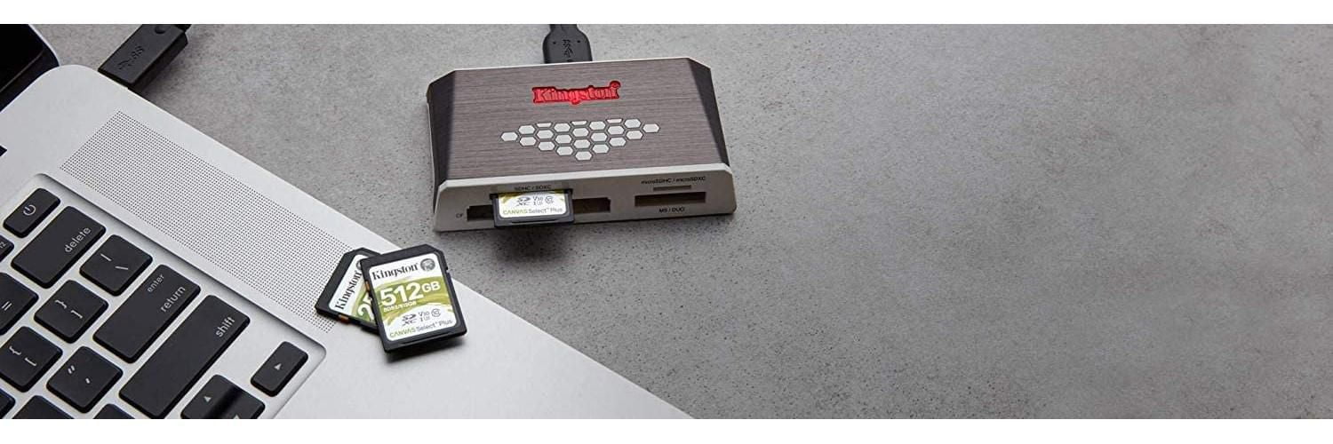 Carte mémoire microSDHC 256 Go Select Plus 100 Mo/s lecture A1 classe 10 UHS-I sans adaptateur (SDS2/256GBCR)