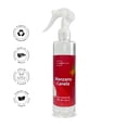 thumbnail image 3 of Home Spray Alta Mainstays Manzana Canela 250 Ml, 3 of 4
