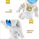 thumbnail image 3 of unbranded 2Ud Astronautas Para De Acuario Con Compacto Y Acabado Natural, 3 of 6