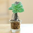 thumbnail image 3 of Coofit Artificial Succulent Plant Mini - Faux Potted Succulent Home Desktop Decoration, 3 of 4