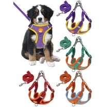 Luxtrada No Pull Dog Harness and Leash Set Adjustable Reflective Pet Vest Harness for Small Medium Dogs (Green,S)