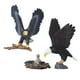 thumbnail image 2 of Figura de águila realista BuyWeekMX simulada decoración de la Mesa del hogar, 2 of 9