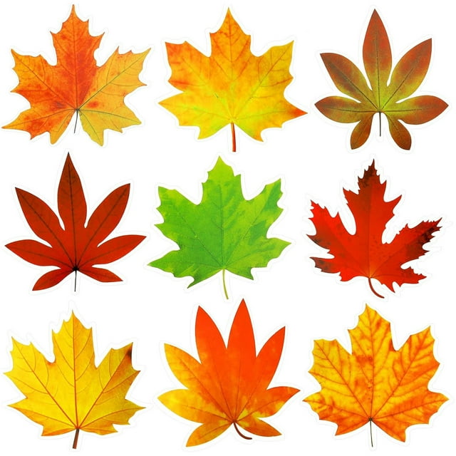 Miangastore 135pcs Maple Leaf Paper Cutouts: Thanksgiving Bulletin Board Decorations for Fall Classroom Decor Party Supplies DIY Craft Multicolored for Holiday Atmosphere