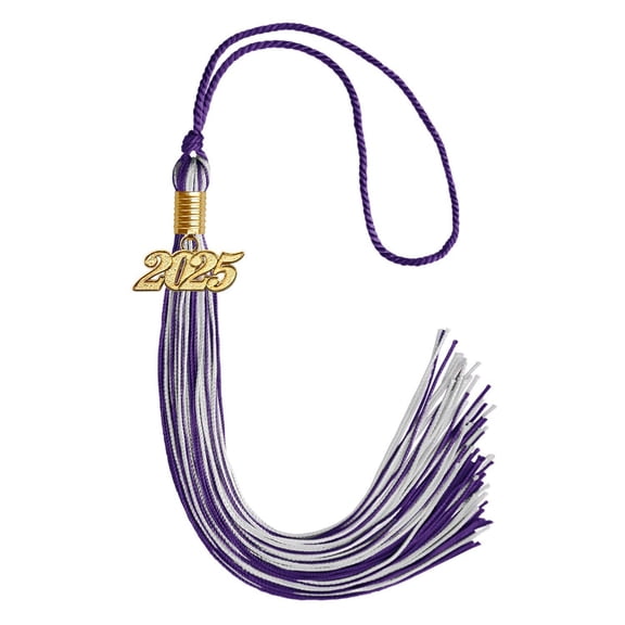 Endea Graduation Purple/Silver Mixed Color Graduation Tassel with Gold Date Drop