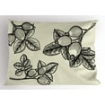 thumbnail image 1 of Apothecary Pillow Sham, Hand Drawn Rosa Canina Leaves Herbs Vintage Botany Plants Gardening Sketch, Decorative Standard King Size Printed Pillowcase, 36 X 20 Inches, Eggshell Black, by Ambesonne, 1 of 2