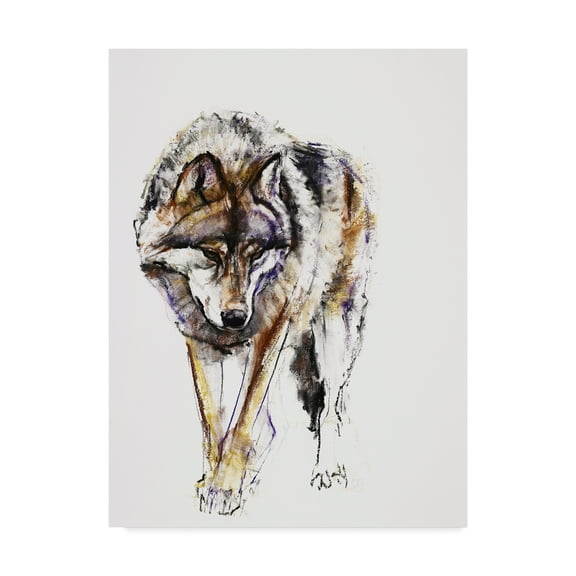 Trademark Fine Art 'European Wolf' Canvas Art by Mark Adlington